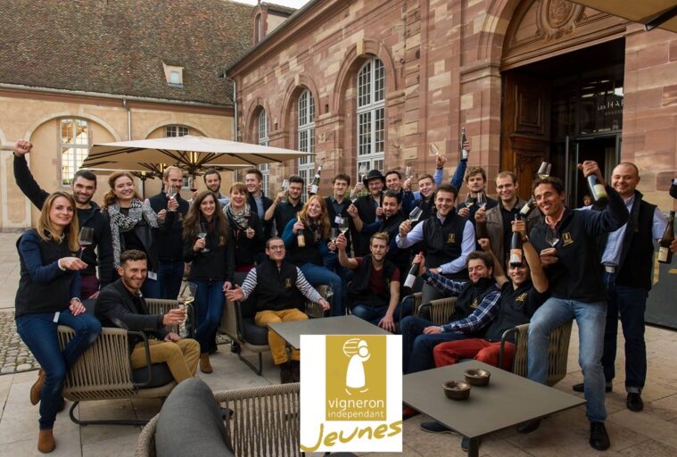 Jeunes Vignerons d'Alsace au lancement de la Formule Jeunes des Etoiles d'Alsace aux Haras ©J_Huttard